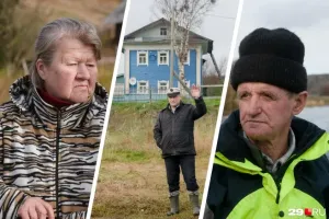В Верхней Золотице медведи разгромили 30 домов
