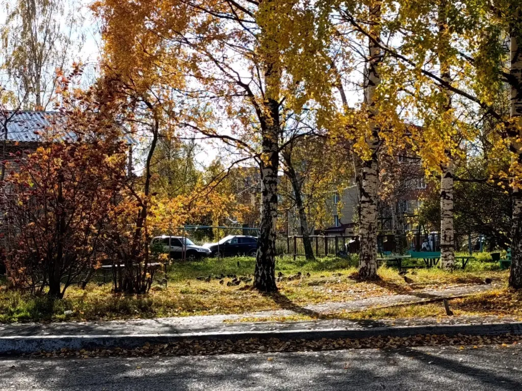 В Архангельской области 20 октября ожидается ветреная погода