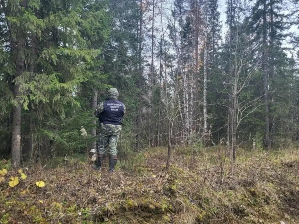 В Пинежском округе медведь насмерть загрыз 49-летнего мужчину