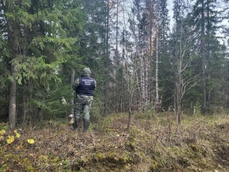 В Пинежском округе медведь насмерть загрыз 49-летнего мужчину