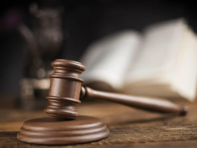 Администрацию Устьянского округа оштрафовали за заброшенные сельхозземли